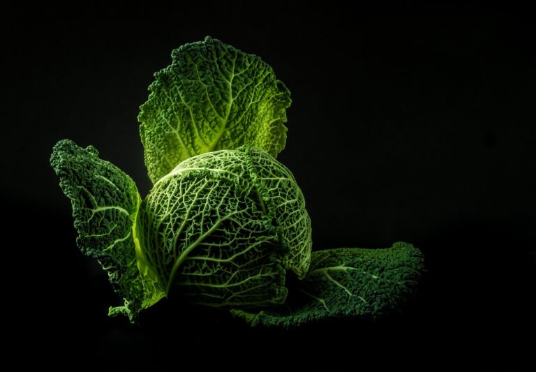 vegetable, cabbage, green, food, nature, fresh, raw, leaves, green food, green vegetable, green leaves, healthy, black background, food photography